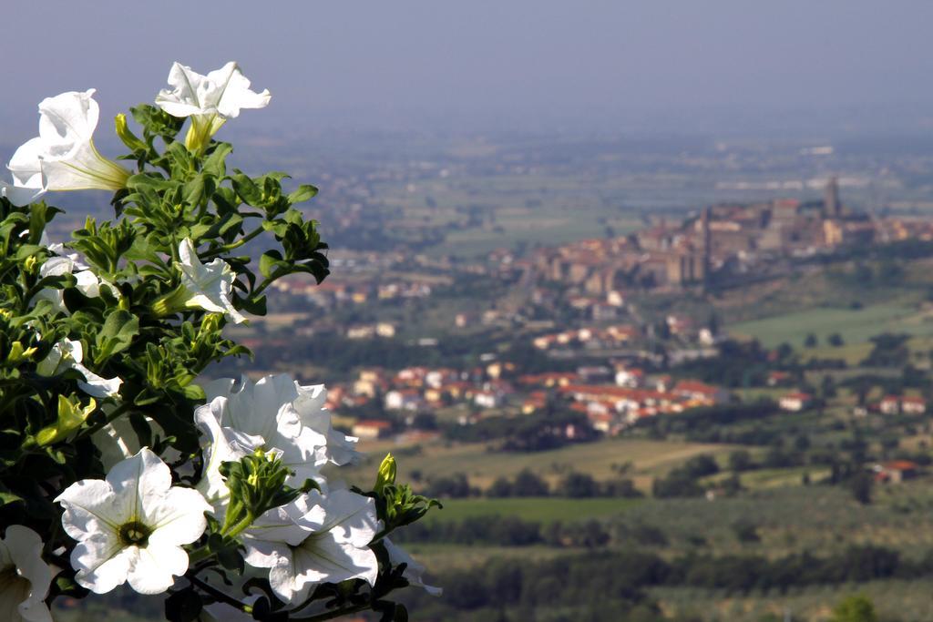 Villa La Foce Castiglion Fiorentino Exterior photo